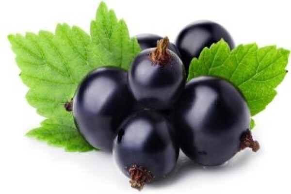 Puris Natural Aroma Chemicals (Pty) Ltd