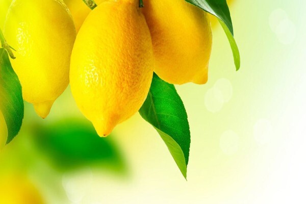 Puris Natural Aroma Chemicals (Pty) Ltd