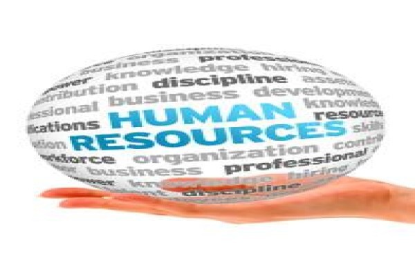 Dale Burne Consulting