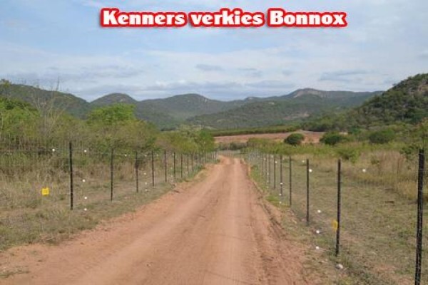 Bonnox (Pty) Ltd