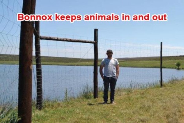 Bonnox (Pty) Ltd
