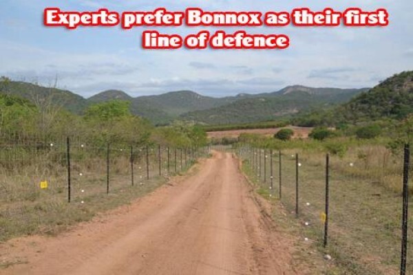 Bonnox (Pty) Ltd