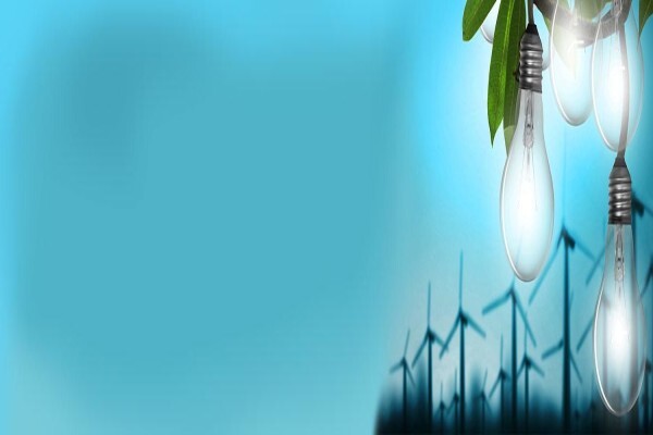 Naledzi Environmental Consultants