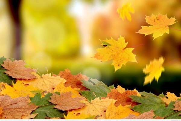 Cape Hearing Aids:Branches:Claremont