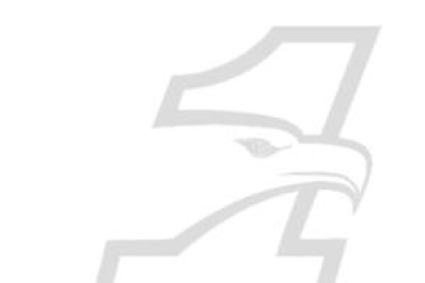 Eagle Fuel Injection Repairs