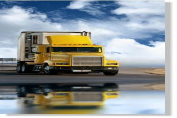 Eagle Fuel Injection Repairs