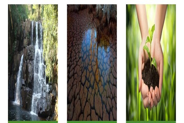 Naledzi Environmental Consultants