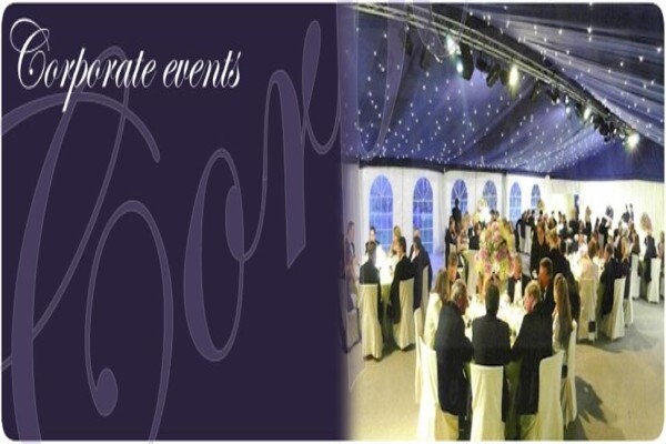 Magic Limousine Service