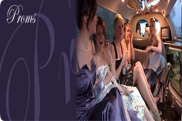 Magic Limousine Service