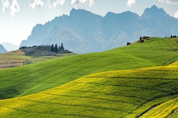 Afzelia Environmental Consultants CC