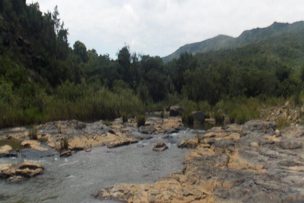 Afzelia Environmental Consultants CC