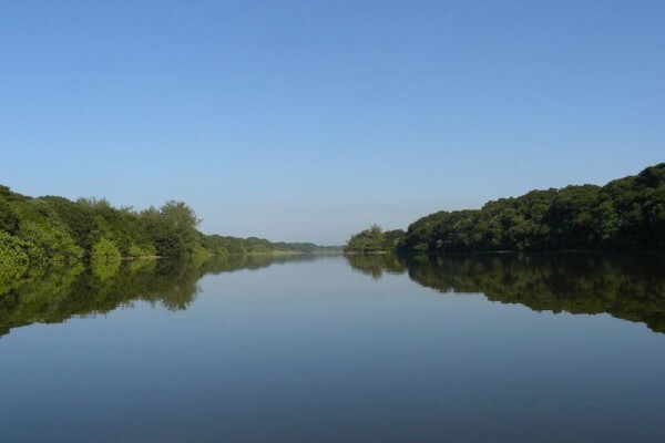 Afzelia Environmental Consultants CC