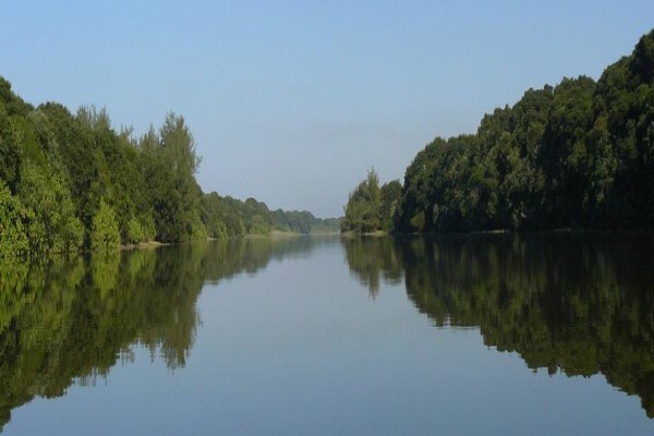 Afzelia Environmental Consultants CC