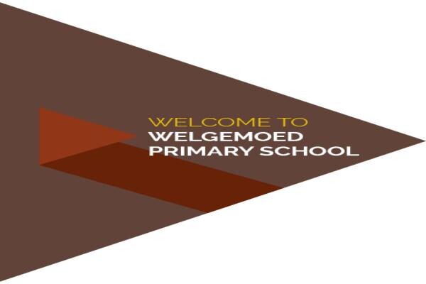 Welgemoed Primary School