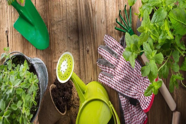 Quikgrow Irrigation