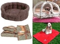 Cape Dog and Fashion Designs