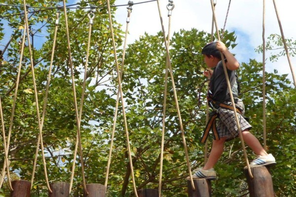 Skyway Trails:Lodge