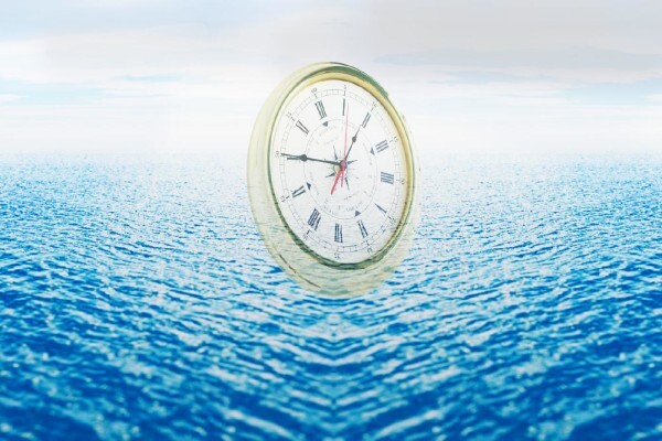 Star Shipping Agencies