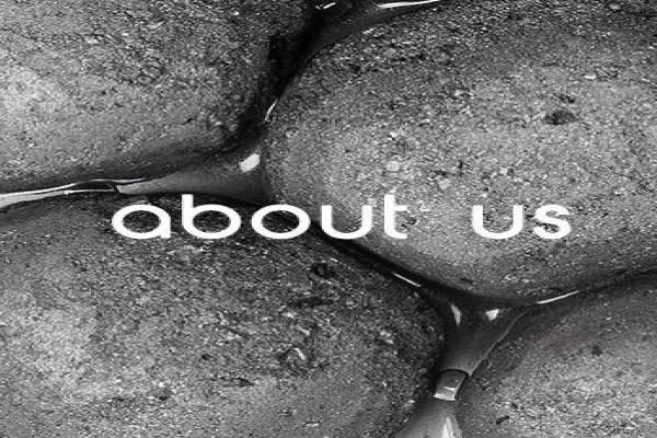 Trans Alloy Metal Recoveries (TMR)