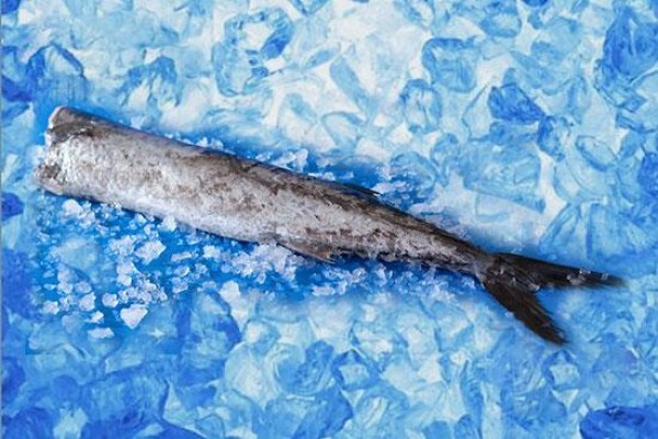 Viking Fishing Co