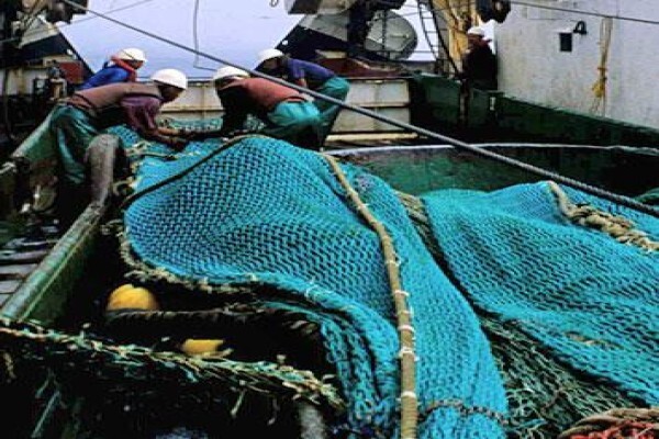 Viking Fishing Co