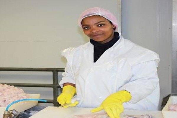 Viking Fishing Co