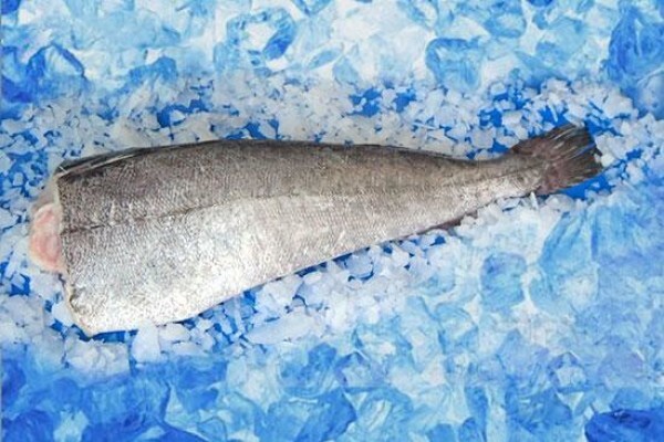 Viking Fishing Co