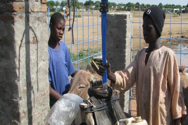 Hose Manufacturers