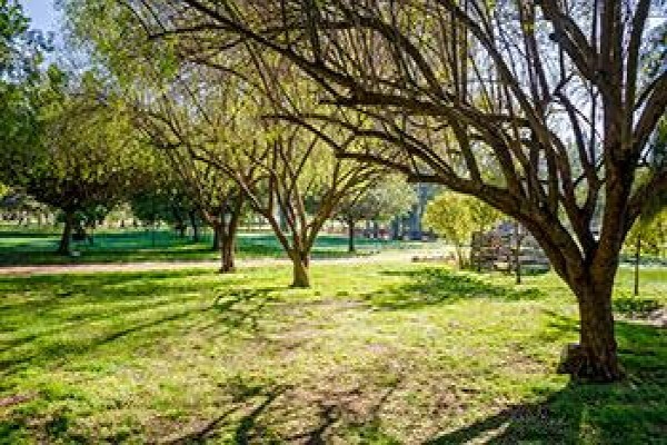 Citrus Creek Chalets & Camping