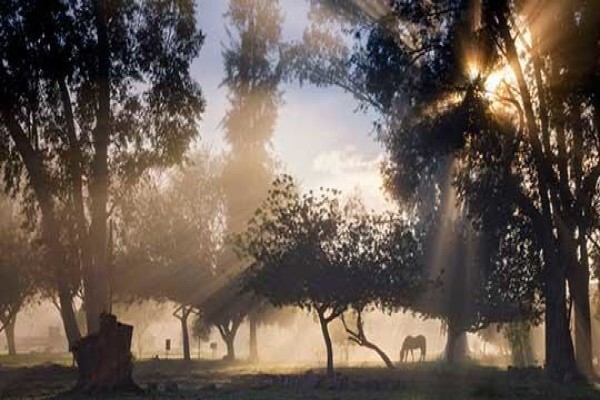 Citrus Creek Chalets & Camping