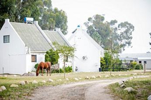 Citrus Creek Chalets & Camping