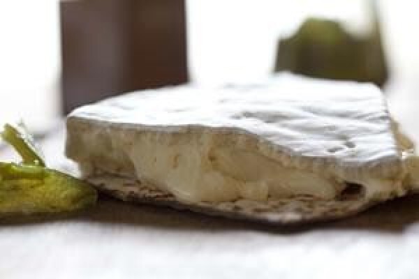 Dalewood Fromage CC