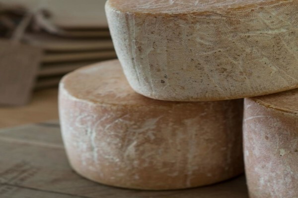 Dalewood Fromage CC