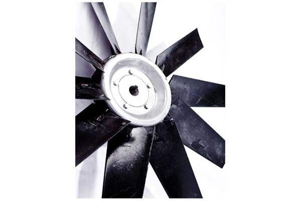 Wing Fan Africa CC