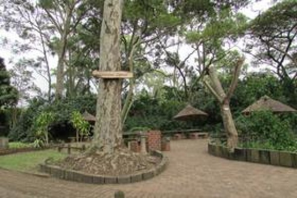 Phelamanga Projects