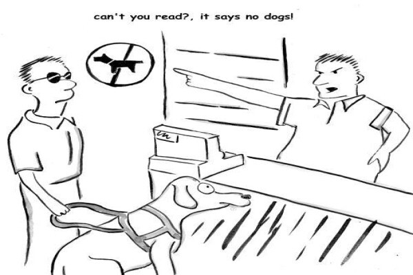 Disability Desk