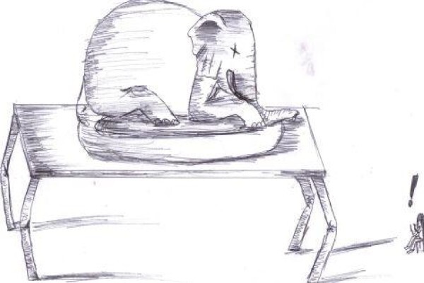 Disability Desk
