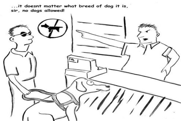 Disability Desk