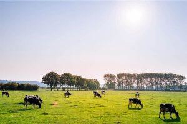 Samelko Landbou Koöperasie BPK