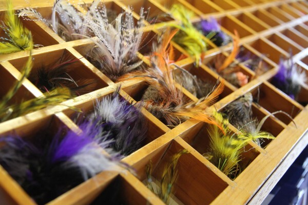 Wildfly Fishing