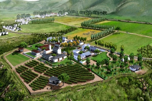 D J Environmental Consultants