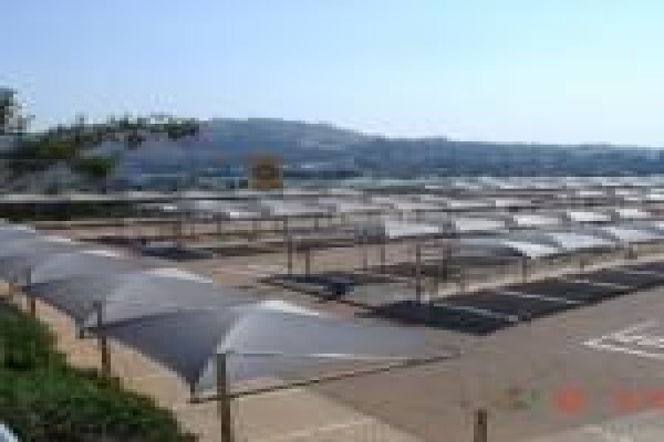 Megashade Projects (Pty) Ltd