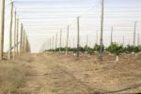 Megashade Projects (Pty) Ltd