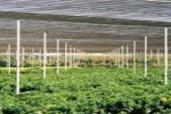Megashade Projects (Pty) Ltd