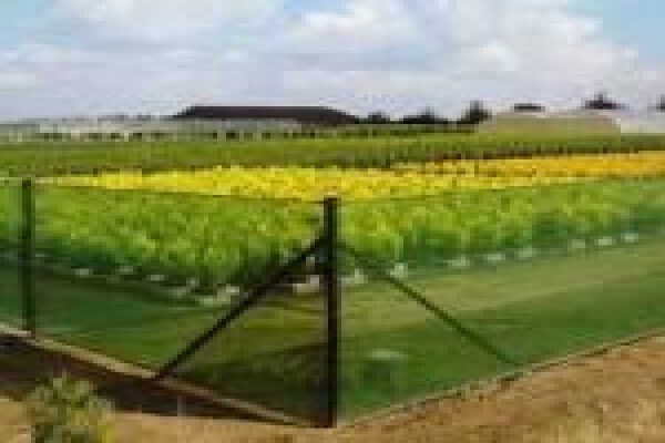 Megashade Projects (Pty) Ltd