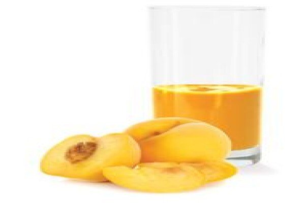 Ceres Fruit Processors (Pty) Ltd