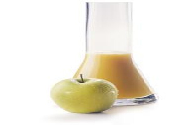 Ceres Fruit Processors (Pty) Ltd