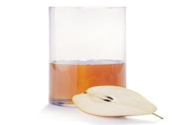 Ceres Fruit Processors (Pty) Ltd