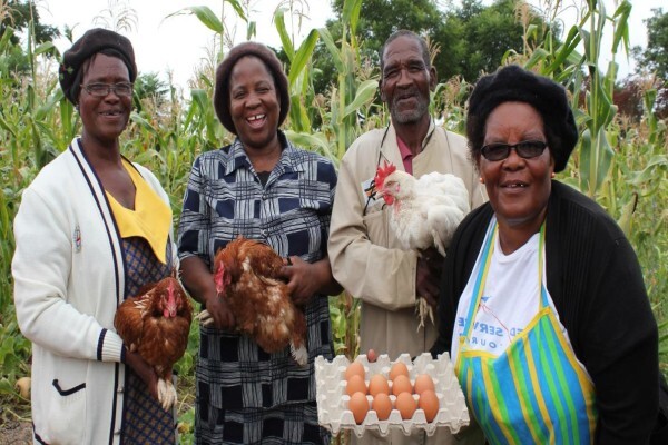 Heifer Project (SA) (Eastern Cape)