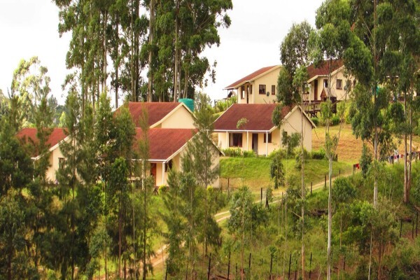 Rehoboth Trust
